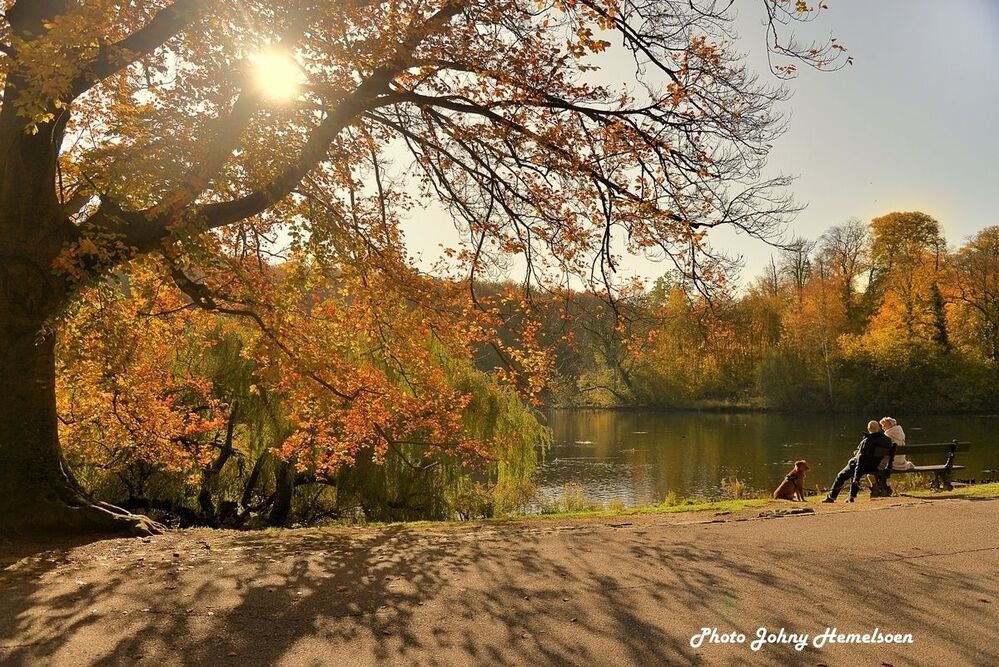 Autumn in Belgium