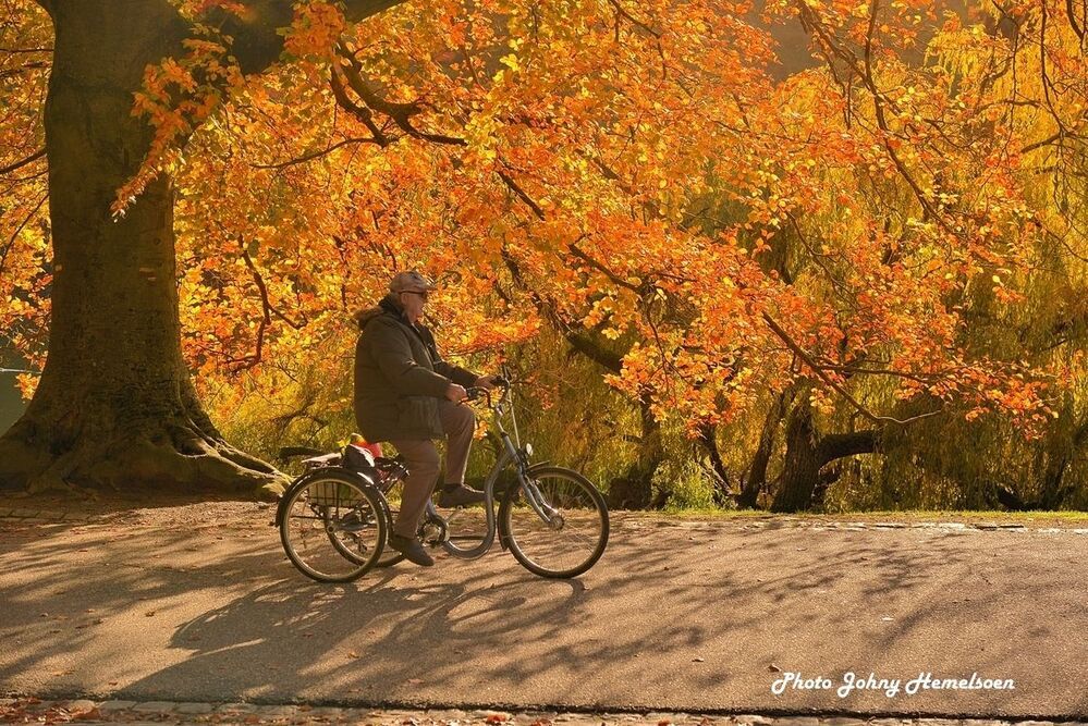 Autumn in Belgium