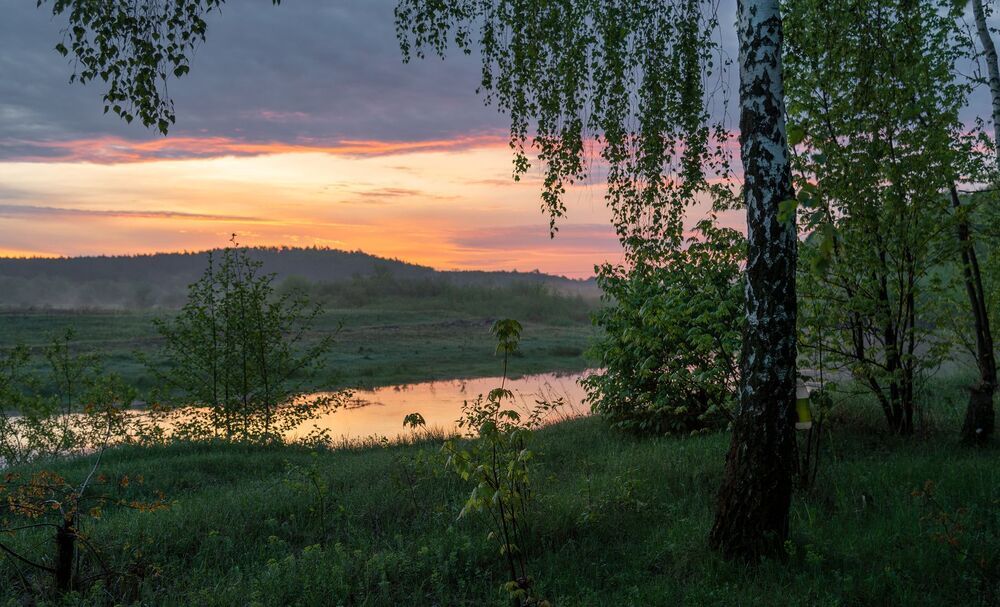 и первая трель соловья...