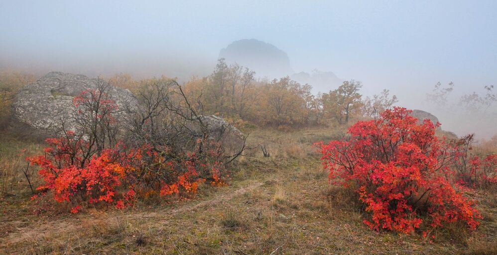 Осенние мотивы..