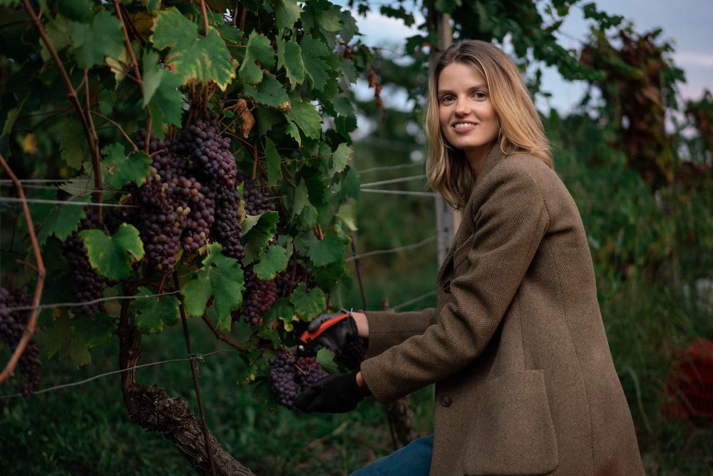 Winemaker
