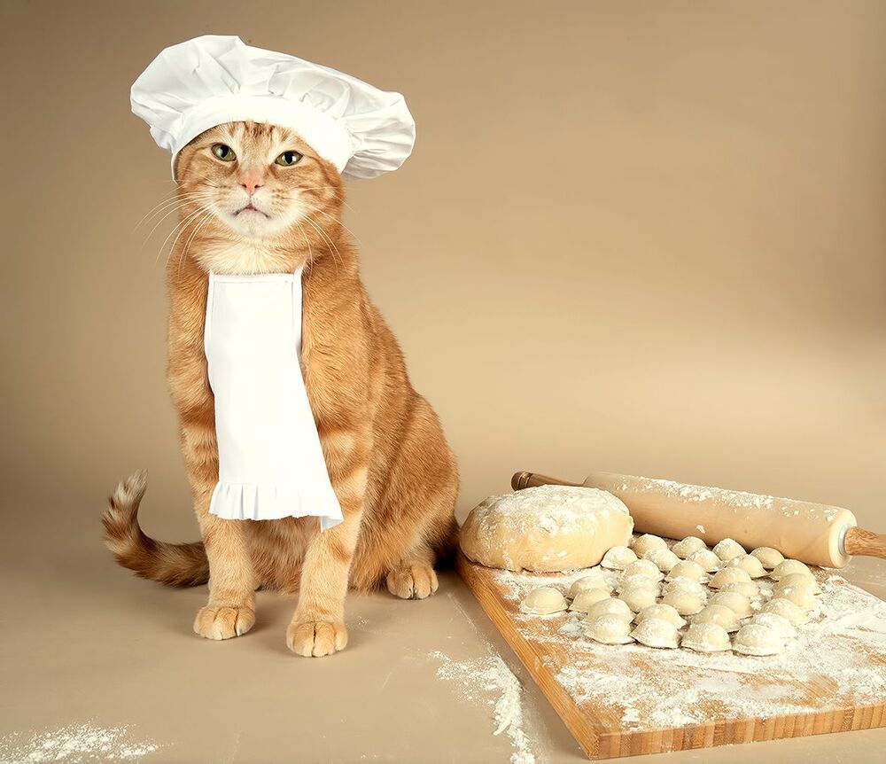 Котики -Поварята