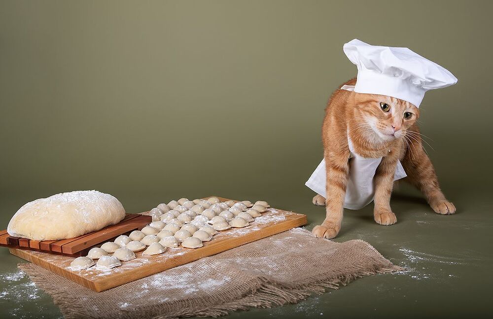Котики -Поварята