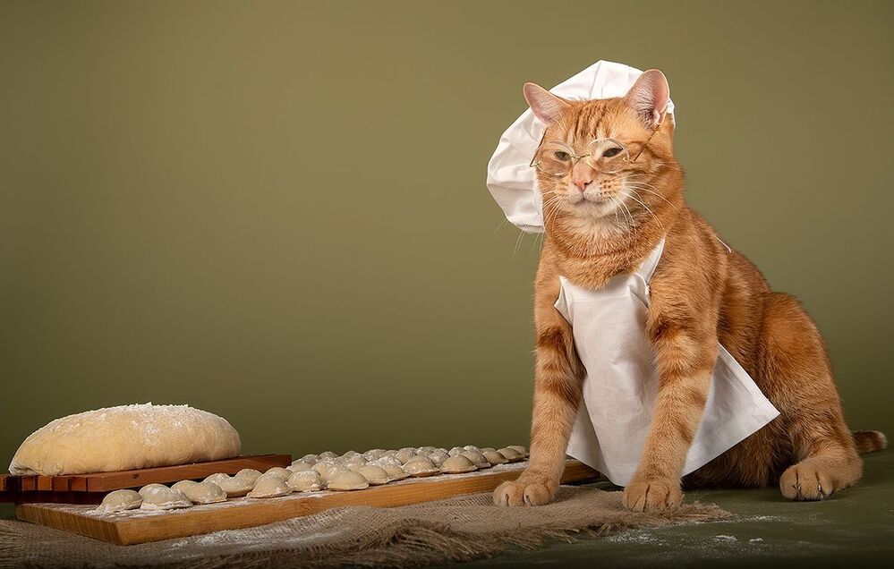 Котики -Поварята