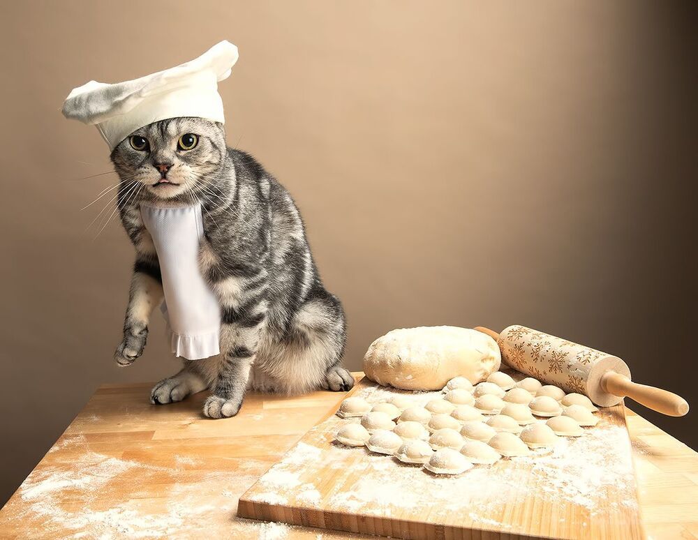 Котики -Поварята