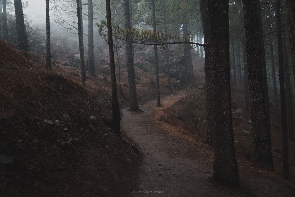 Roque Nublo