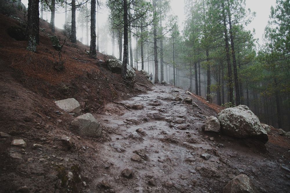 Roque Nublo