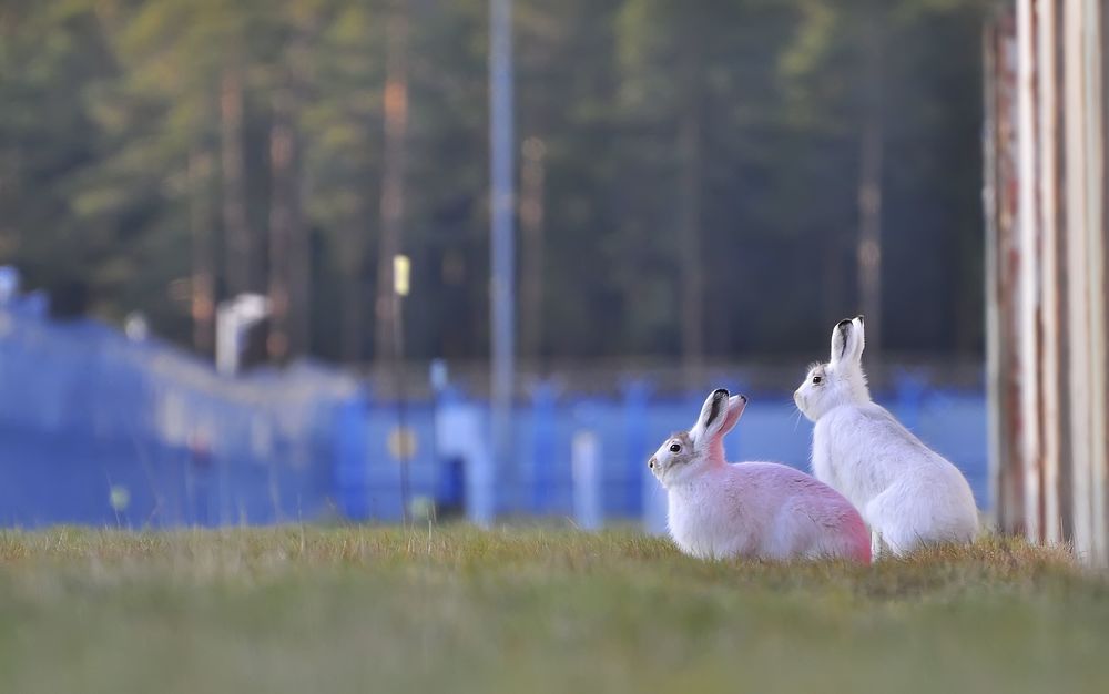 К зиме готовы :)