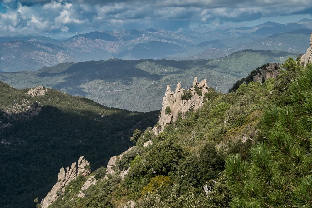 L'Uomo di Cagna