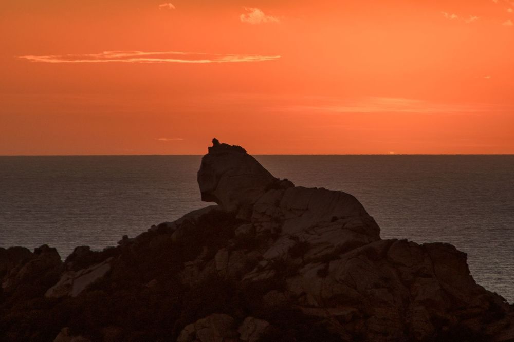 Le Lion de Roccapina