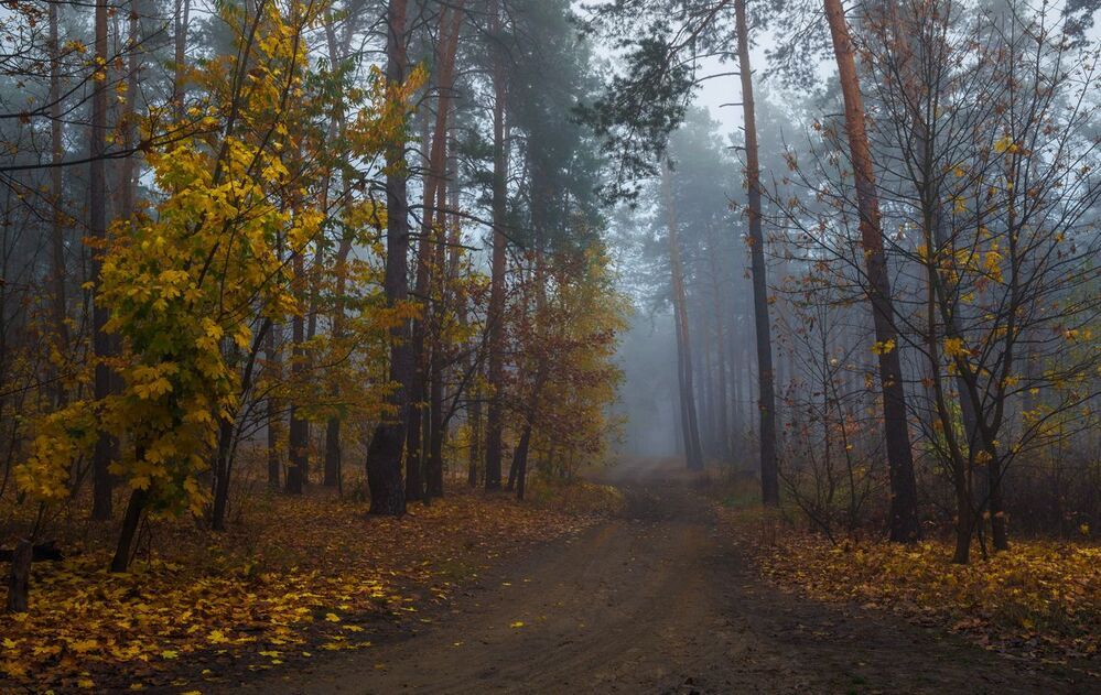 Там, за стеной холодного тумана
