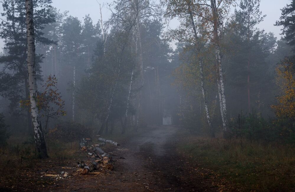 В сумраке восходящего рассвета