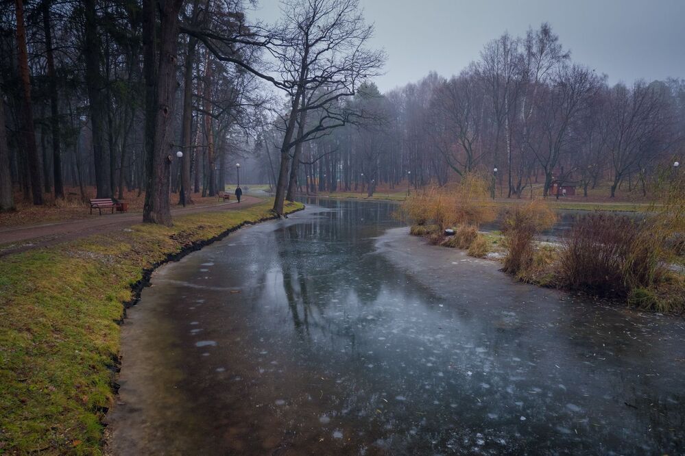 Декабрь в лесу (тест Fujifilm X-A5 Kit)