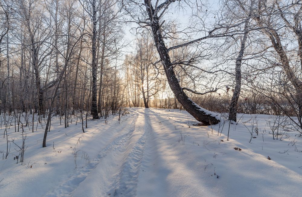 Декабрь.