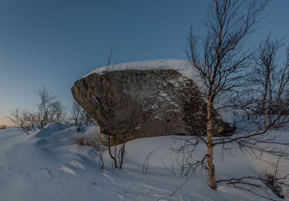 ...свет декабря