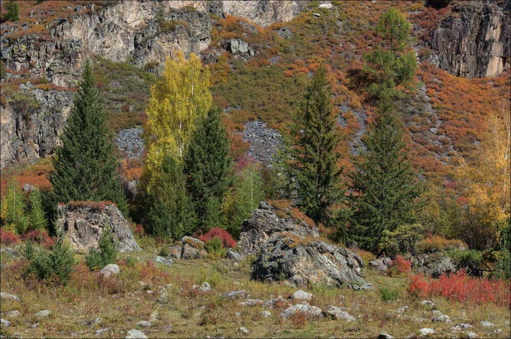 Палитра осеннего Алтая