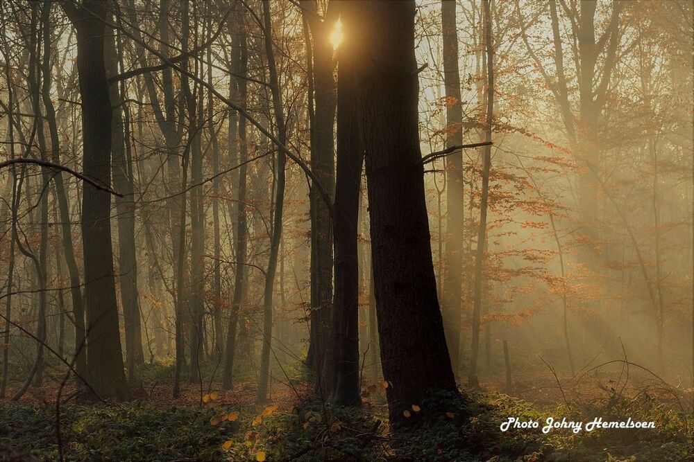 The end of autumn