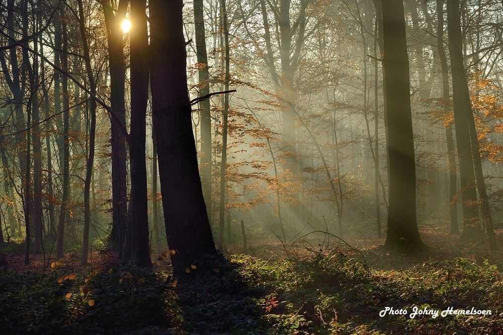The end of autumn