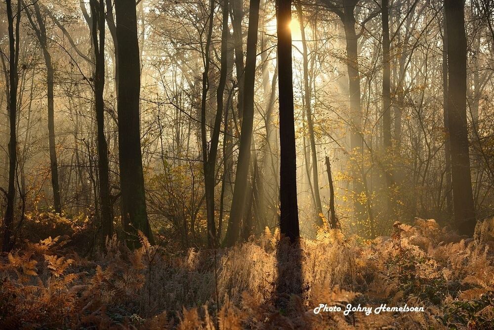 The end of autumn