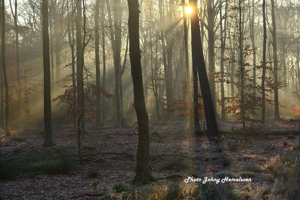 The end of autumn