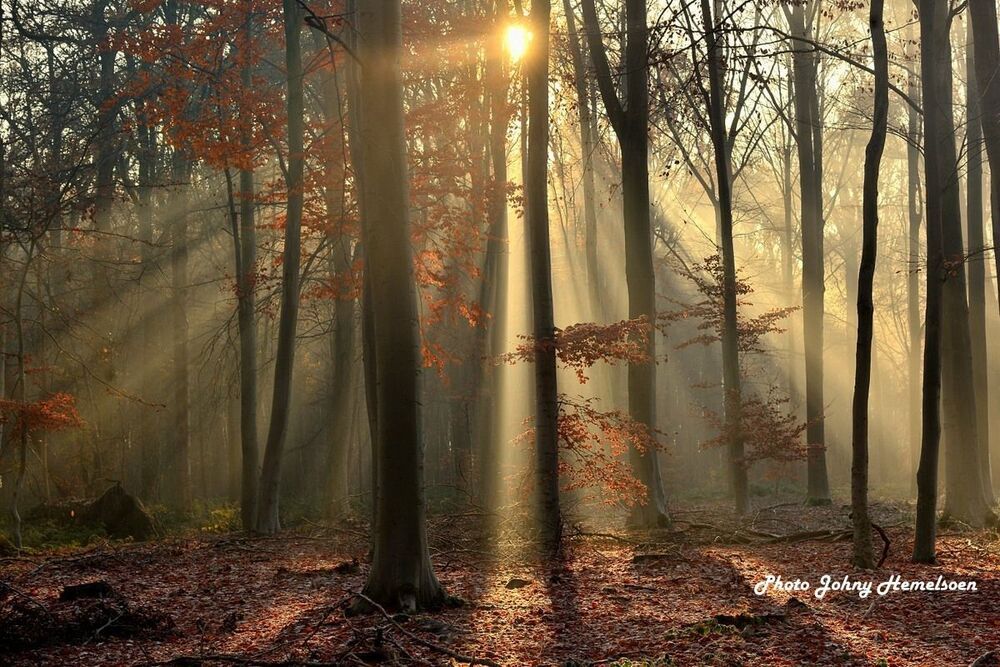 The end of autumn
