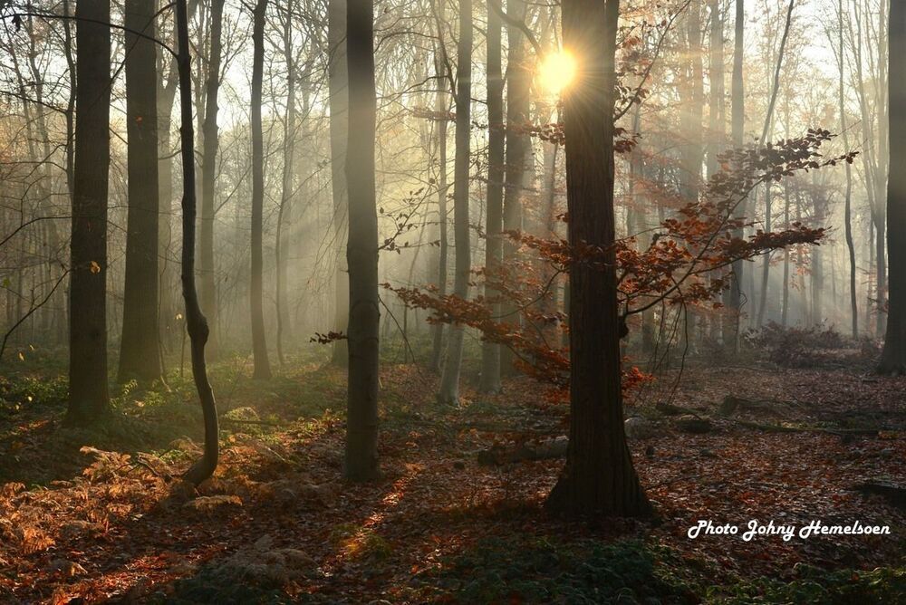 The end of autumn