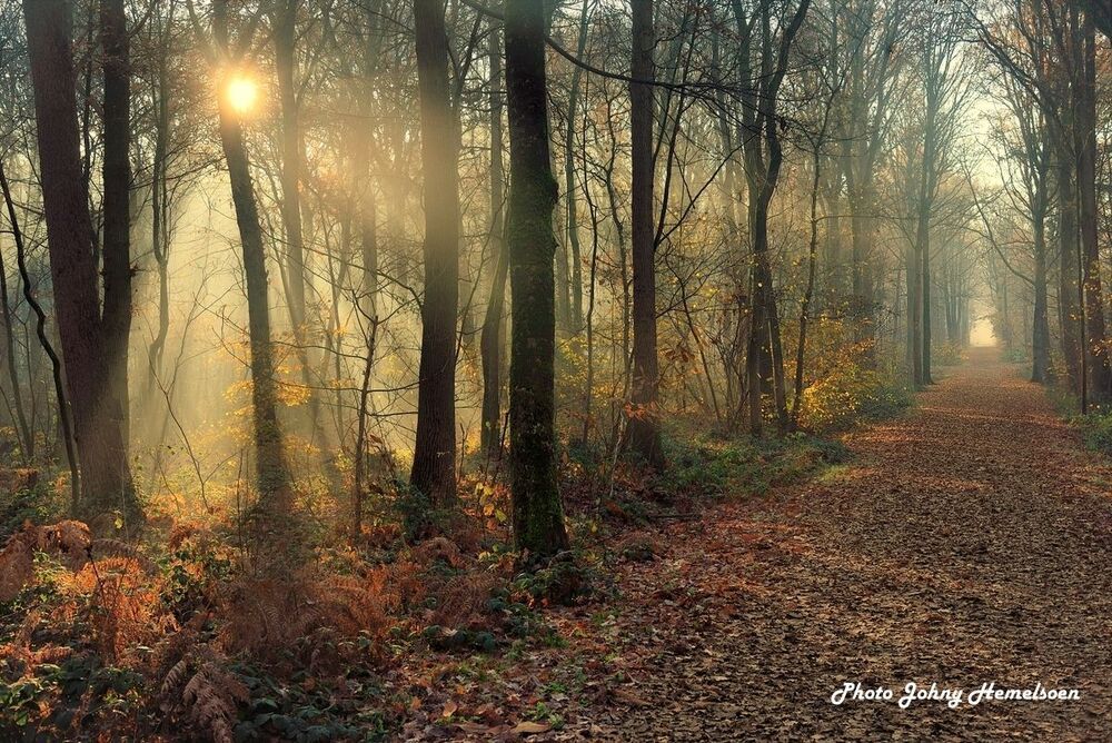 The end of autumn