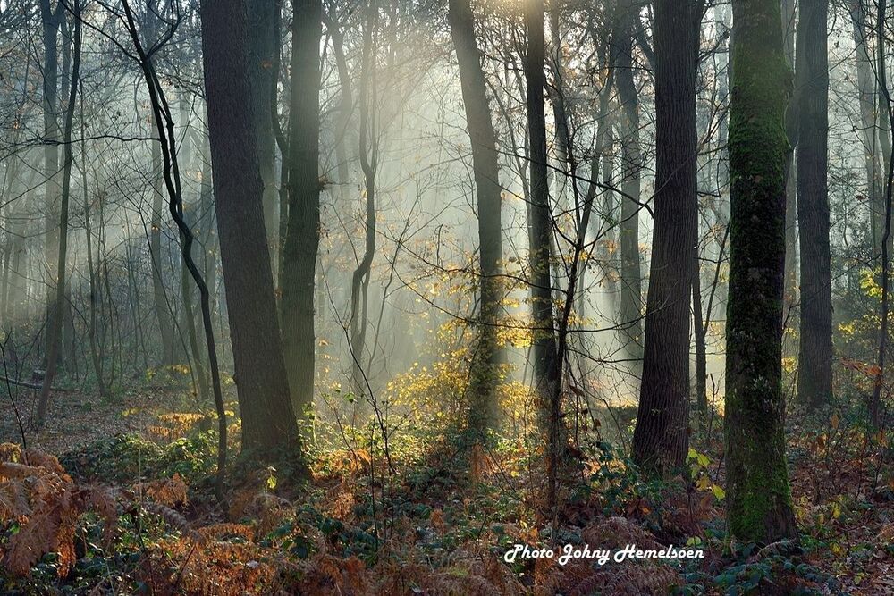 The end of autumn