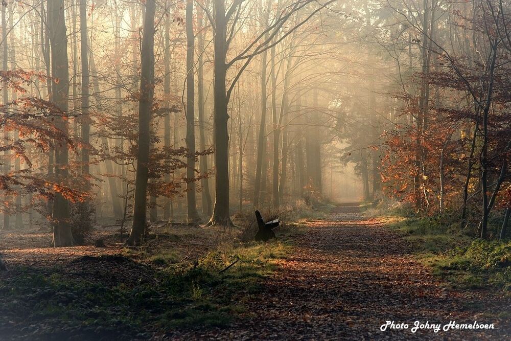 The end of autumn