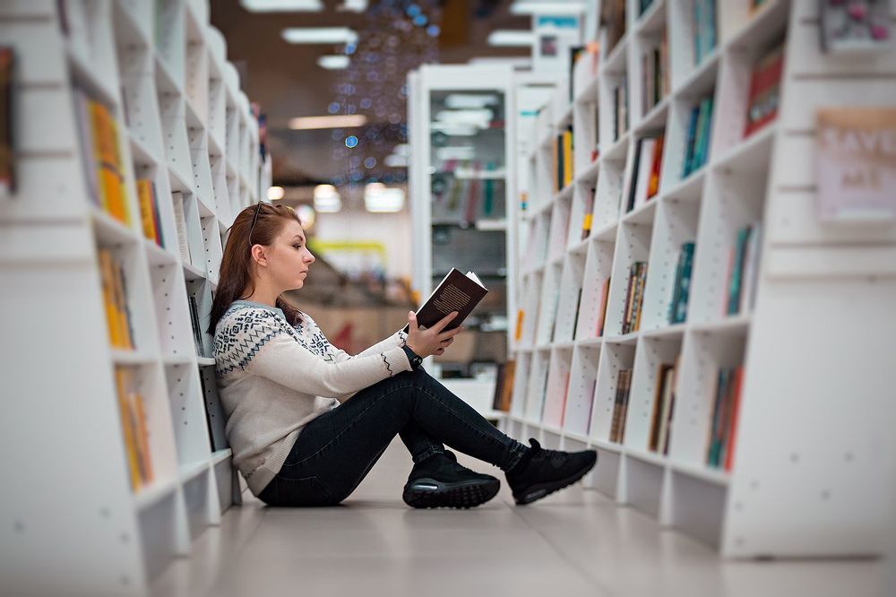 Книжный мир