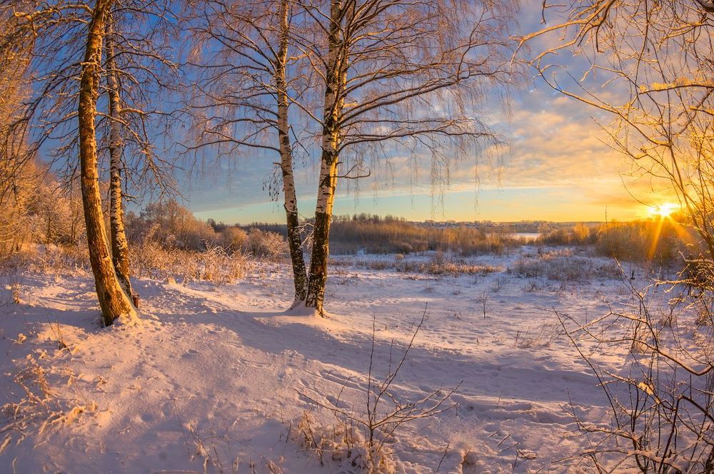 прошлогодняя зима. Декабрь