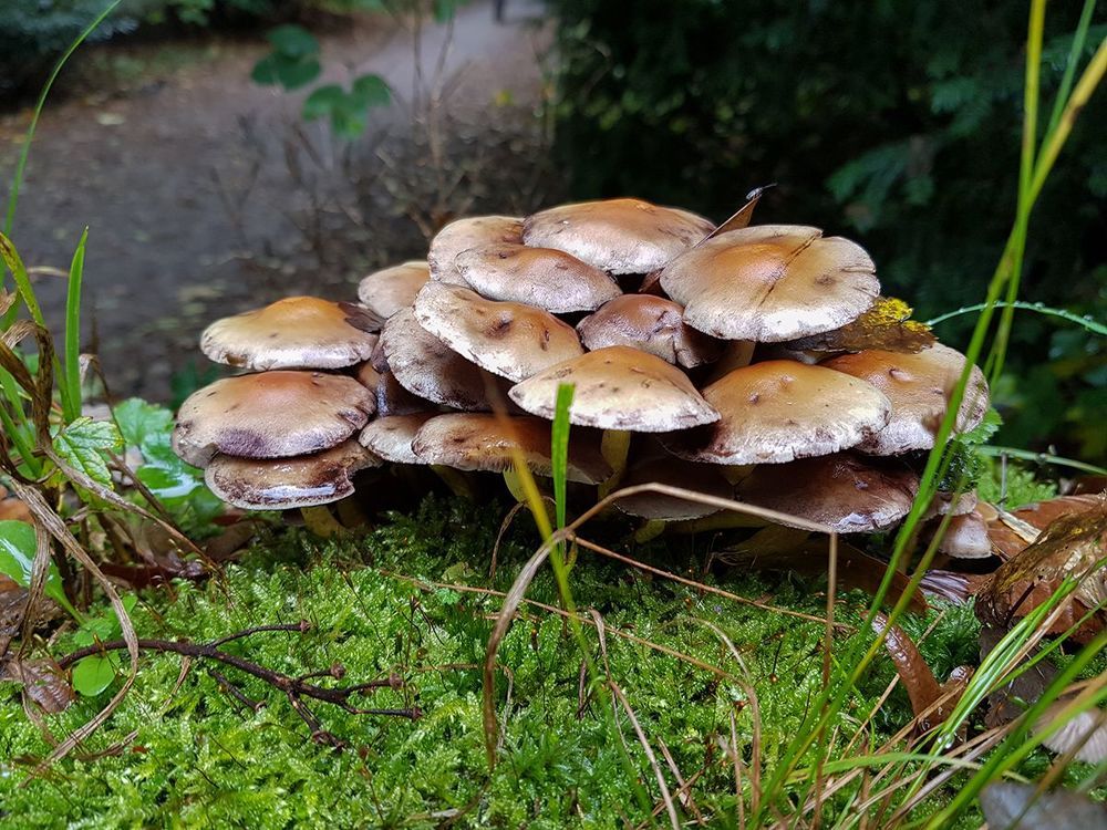 Photo 1588948