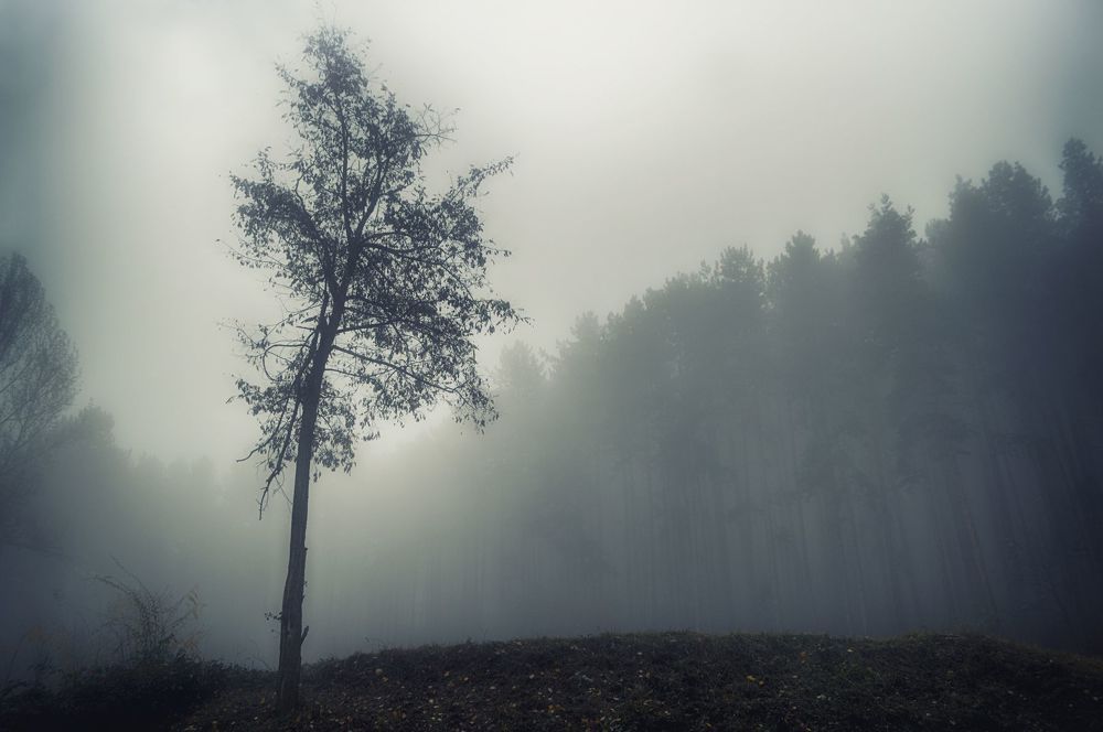 Autumn sadness