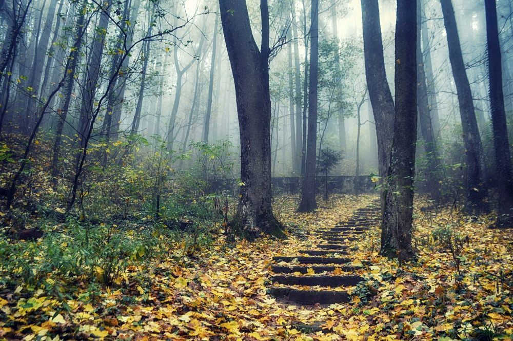 Autumn sadness