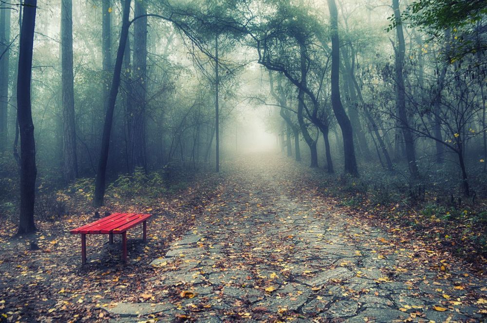 Autumn sadness