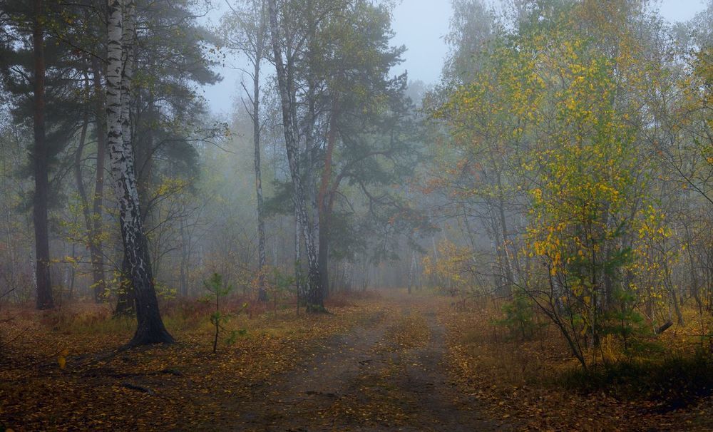 Уходила тихо осень