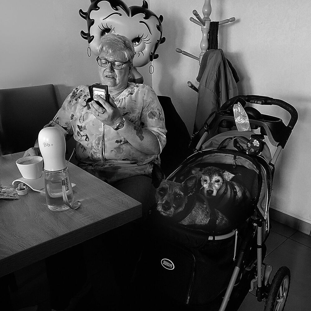 In the pubs of Antwerp(Belgium).