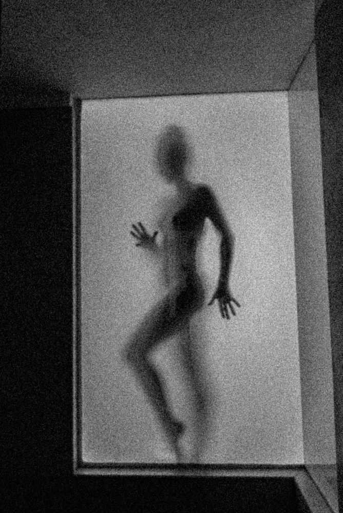 Photo 1590468