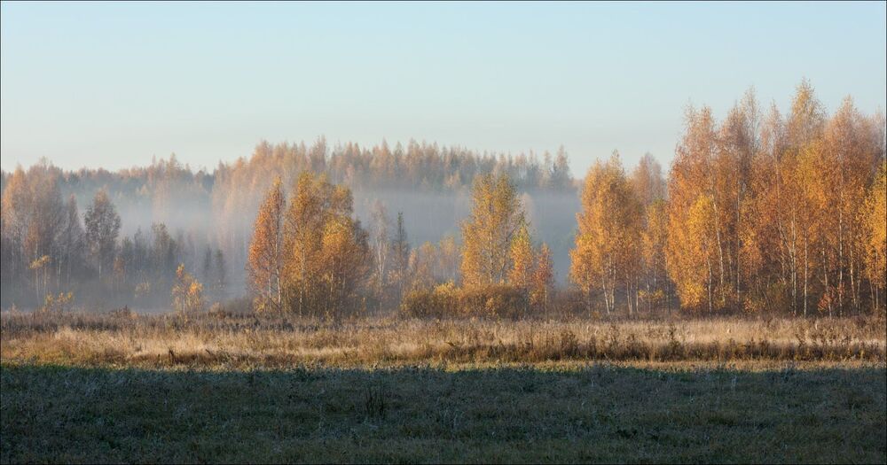 В полосе утреннего тумана