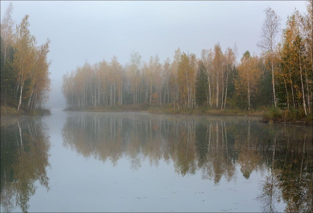 На лесном озере, в ожидании восхода.