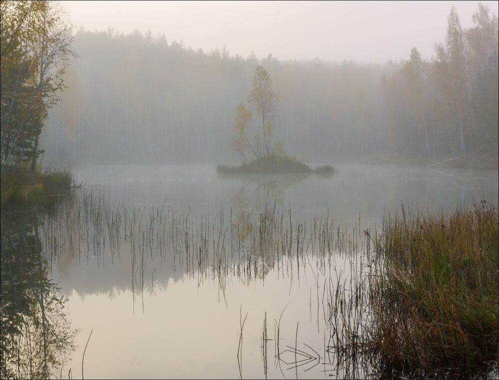 В утренней пелене