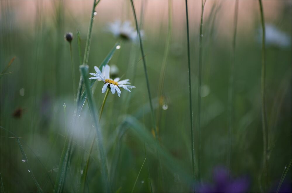 after the rain...