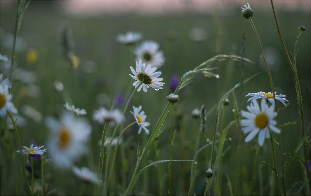 after the rain...
