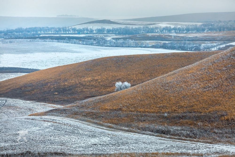Серия &laquo;Графика зимы&raquo;