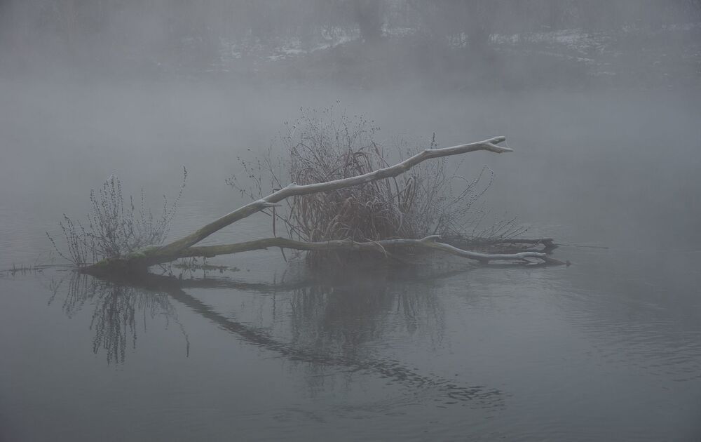 Утро декабря