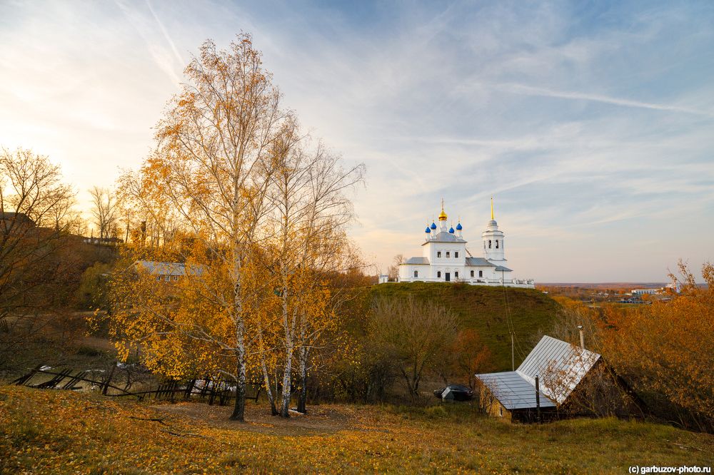 Лошадки цвета осень