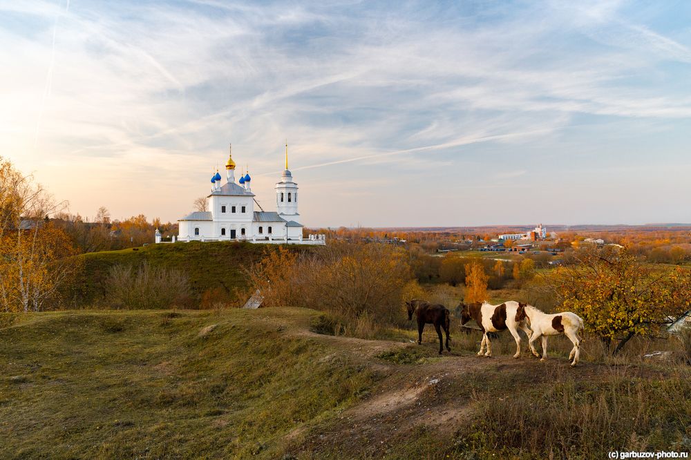 Лошадки цвета осень