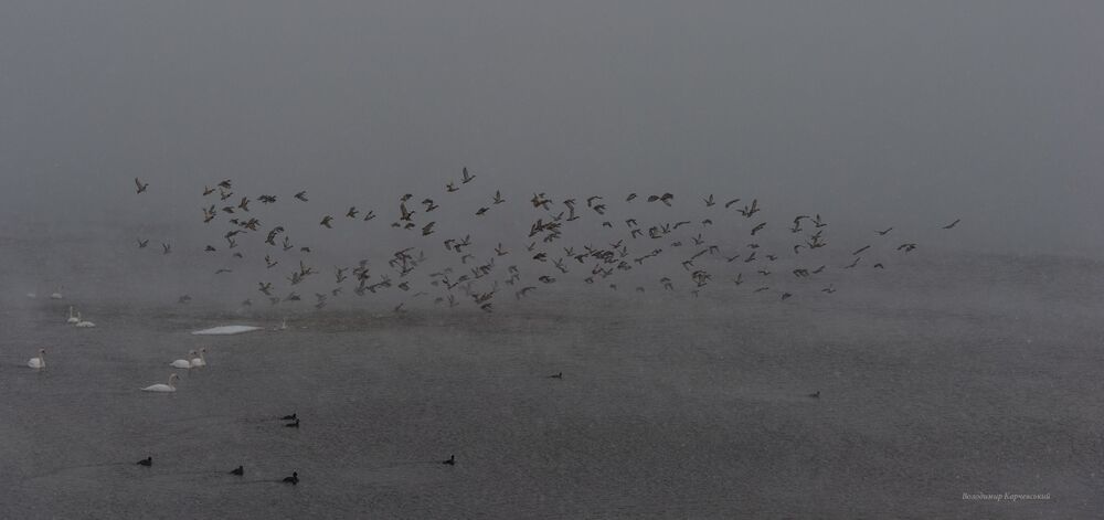 Photo 1593225