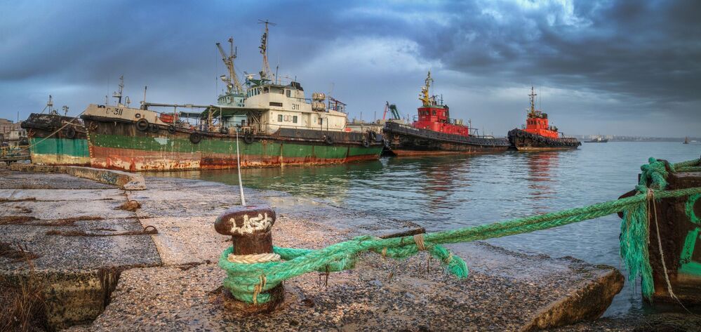 О декабрьских снах стражей Чёрного моря.