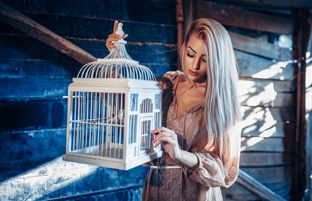 Свобода в клетке